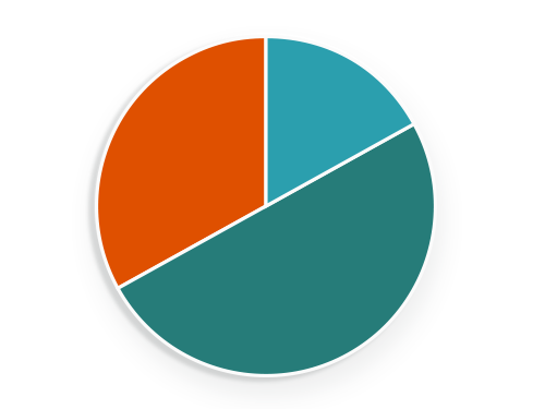 Pie Chart 2022